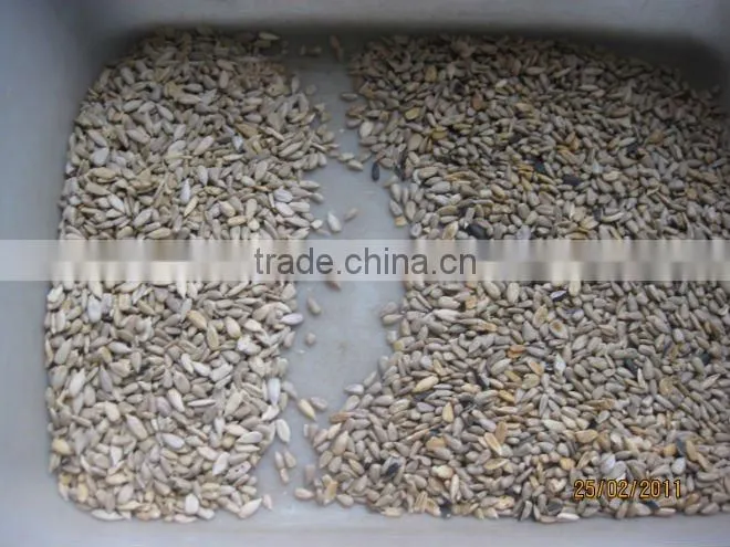 Jiexun intelligent sunflower seeds sorting machine