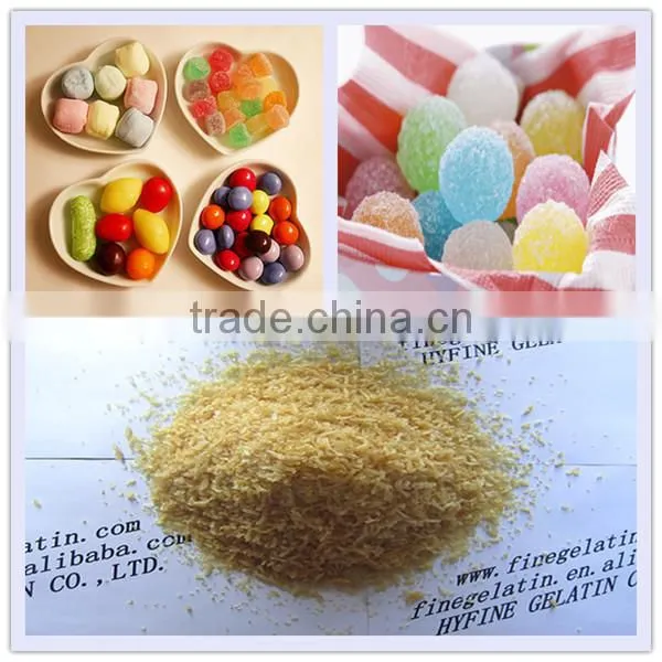 food halal gelatine ingredients/gelatin for desserts/edible food additive gelatin