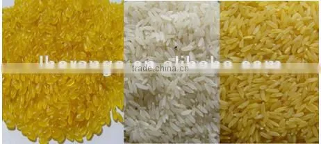 Populared Popping Rice Cake Machine/+86 189 3958 0276