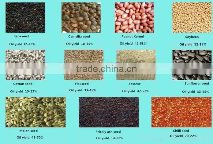 Palm oil make use Spiral oil press machine