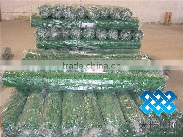 Plastic net