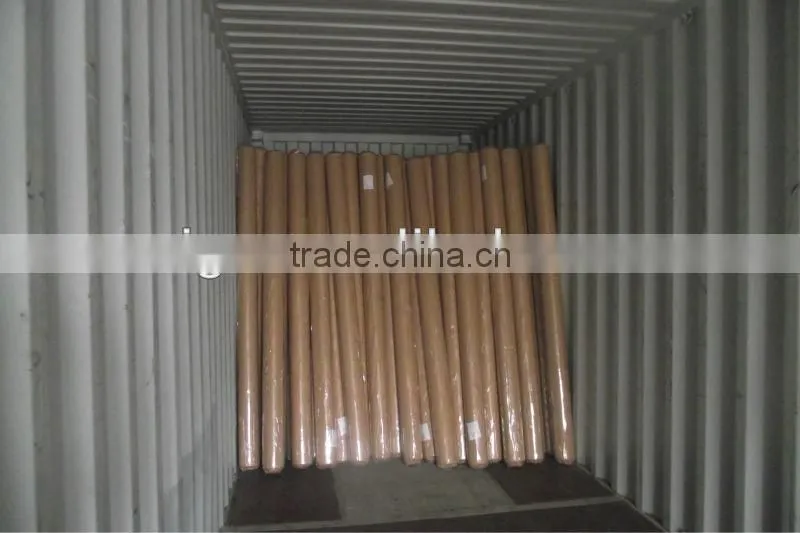 door/curtains plastic sheet