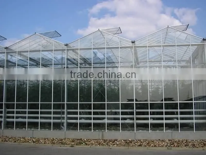 Light steel structure multi span glass greenhouse for modern agriculture