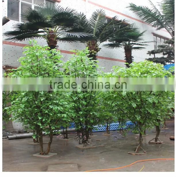 wholesale artificial home bonsai tree live ficus tree artificial bonsai banyan tree