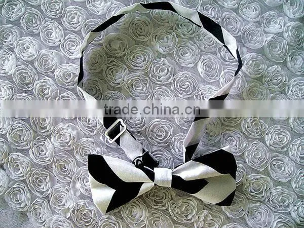Children silk bow tie