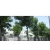 Qingdao Olift Equipment Co.,Ltd. company overview - view 1