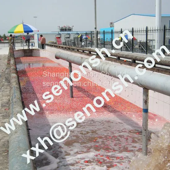 tomato paste production line 022