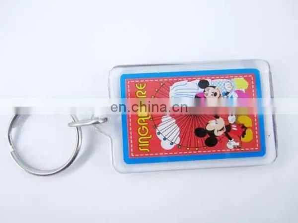Oval shape custom card inserted Acrylic keychain