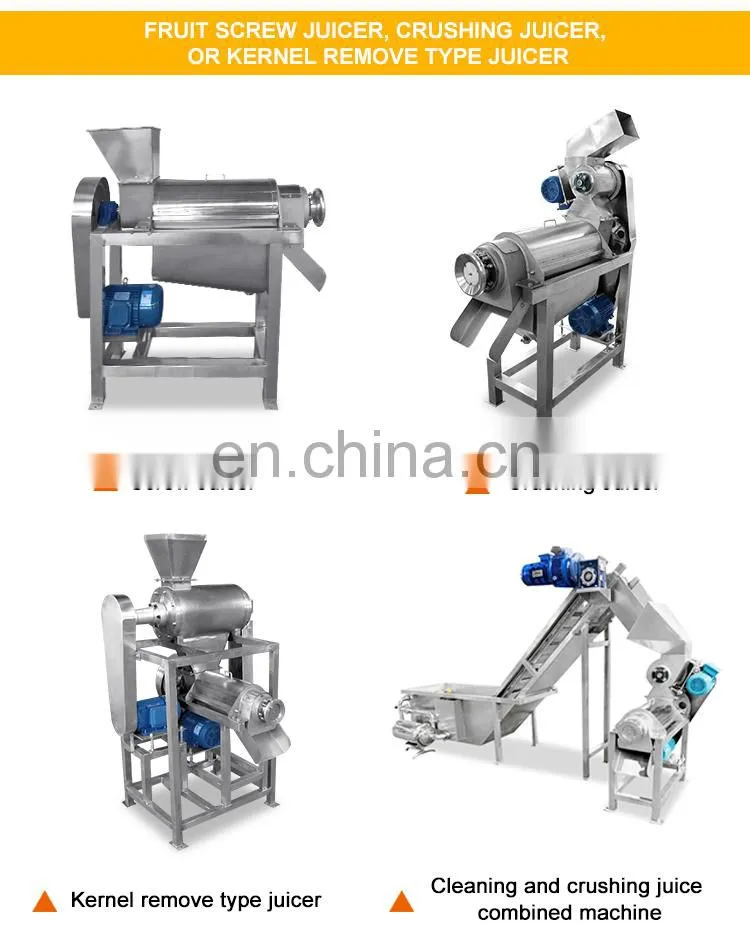 Commercial Fruit Juice Making Machine / Apple Watermelon Pineapple pomegranate Juice
