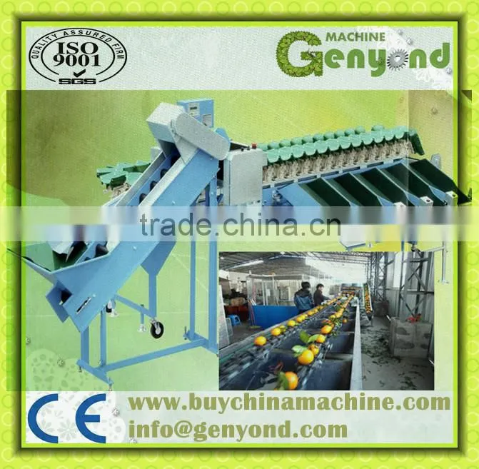 vertical fruit grading machine