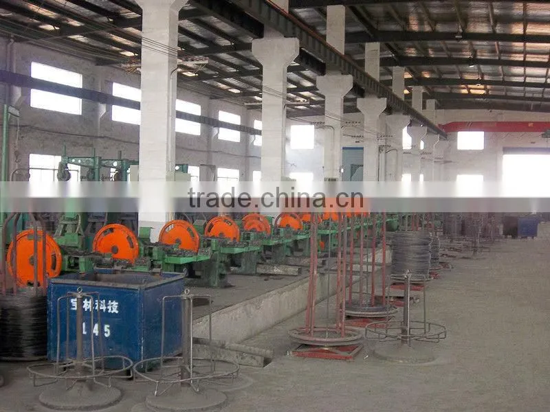 Pallet coil nail with twisted shank
