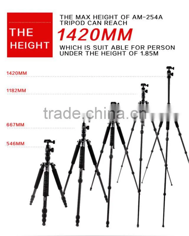 Camera Accessories
