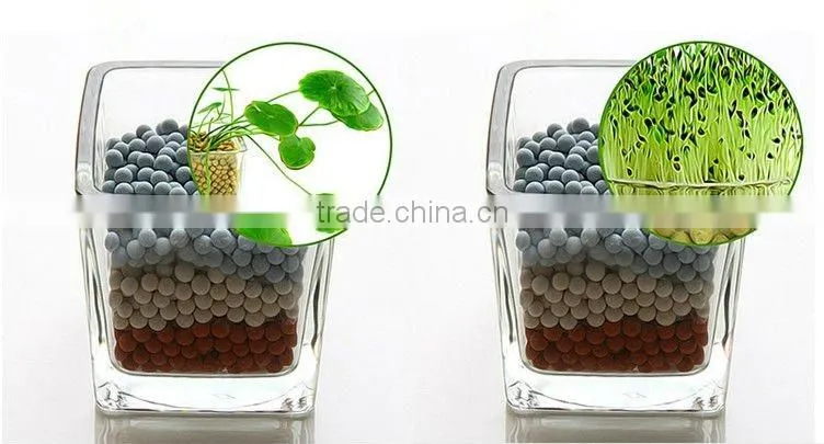 Anion mini plant,Creative promotion gifts