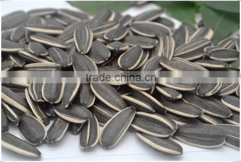 Sunflower Seeds Long Type 5009 Inner Mongolia