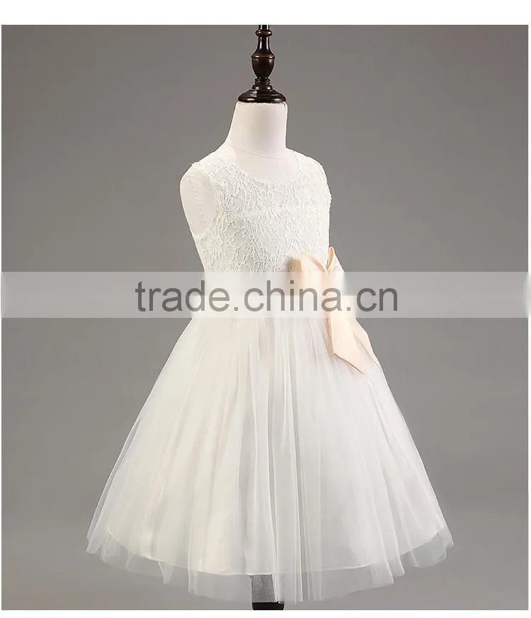 Lastest wholesale elegant girls chiffon party hand embroidery dresses TR-WS31