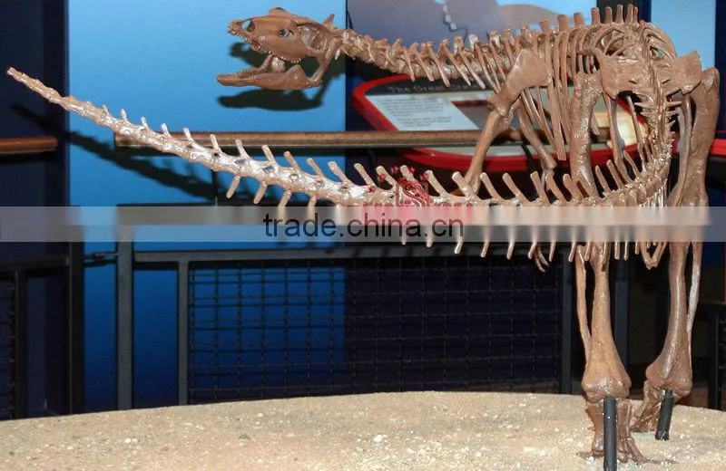 Realistic Dinosaur Skeleton Replica Of Thescelosaurus