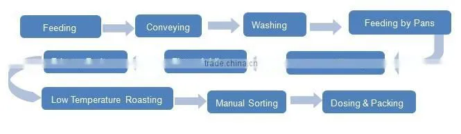 Fully Automatic Salty System Efficient Inshell Peanut Salting Flavoring Salt Coating Production Line
