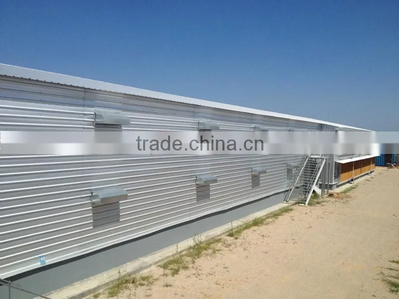 Steel structure poultry house QDXR14C-02F-01