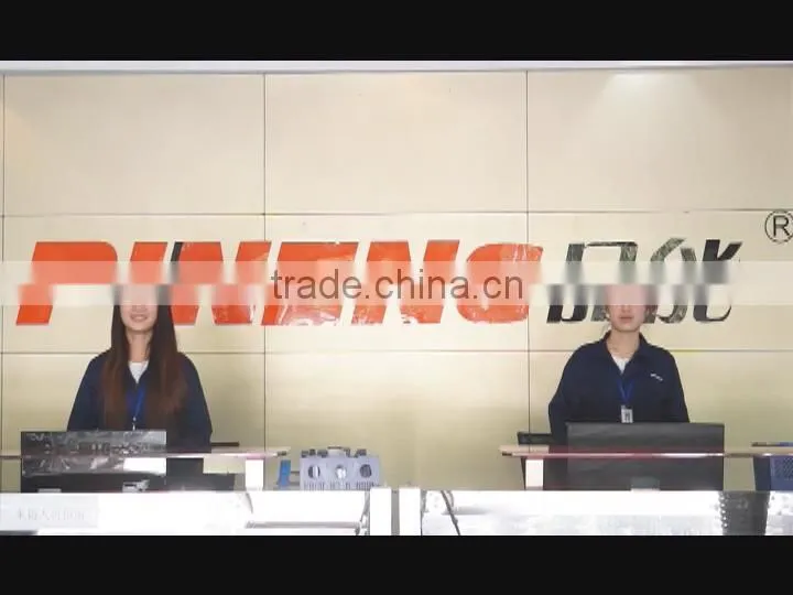 Guangdong Pineng Industrial Co., Ltd. company overview - view 1