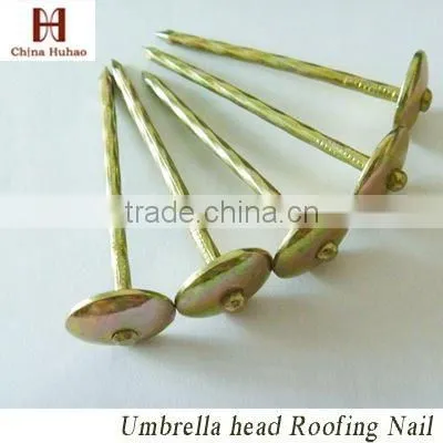 polished Common nails, flat head, diamond point