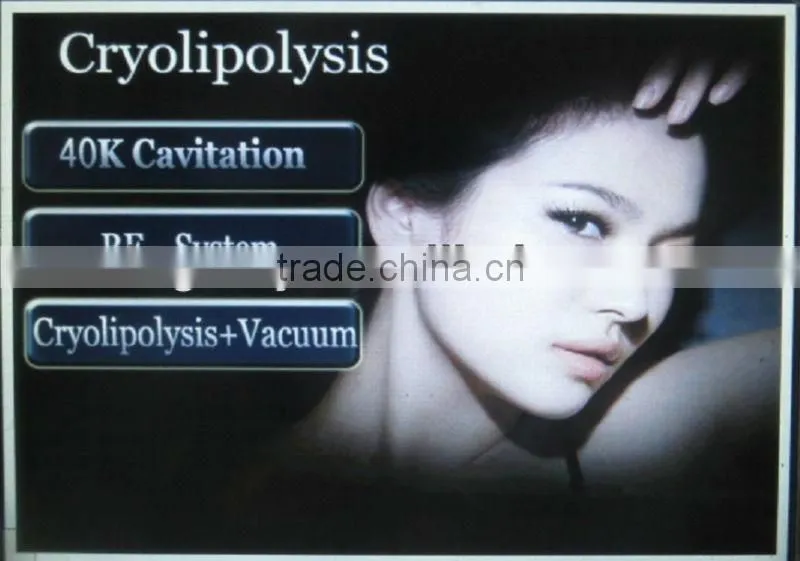 Vertical Cryolipolysis machine therapy venus cryolipolysis fat freezing machine