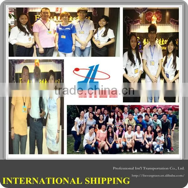 Warehouse service in Foshan for sea Shipping to Worldwide from China Freight Forwarder