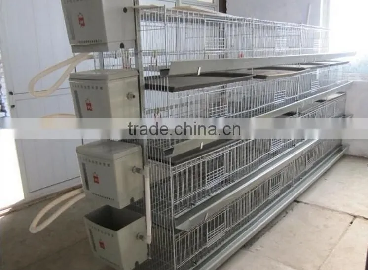 Anping factory chicken egg laying cage for farm