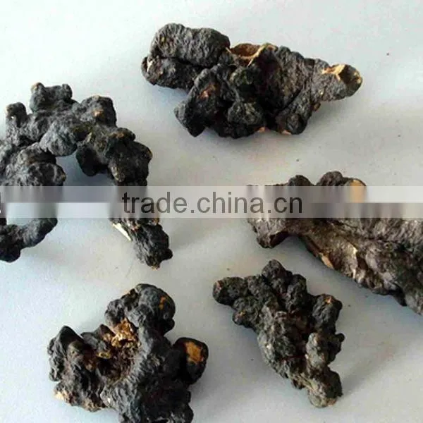 natural Grifola Umbellate extract powder 20% 25% 30% polysaccharides