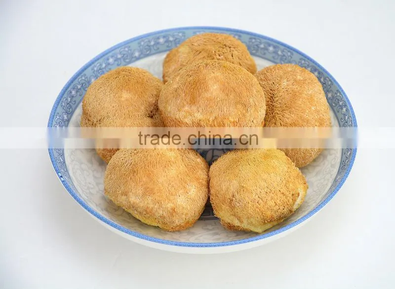 100% Natural originic/Lion's Mane/ Hericium Erinaceus Mushroom,Monkey Head Mushroom