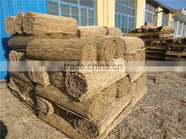 Electrical drive any width make by order Rush stalk screen machine