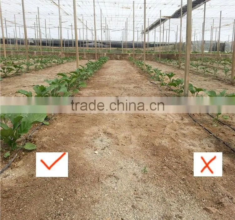 natural microbial TE Fertilizer