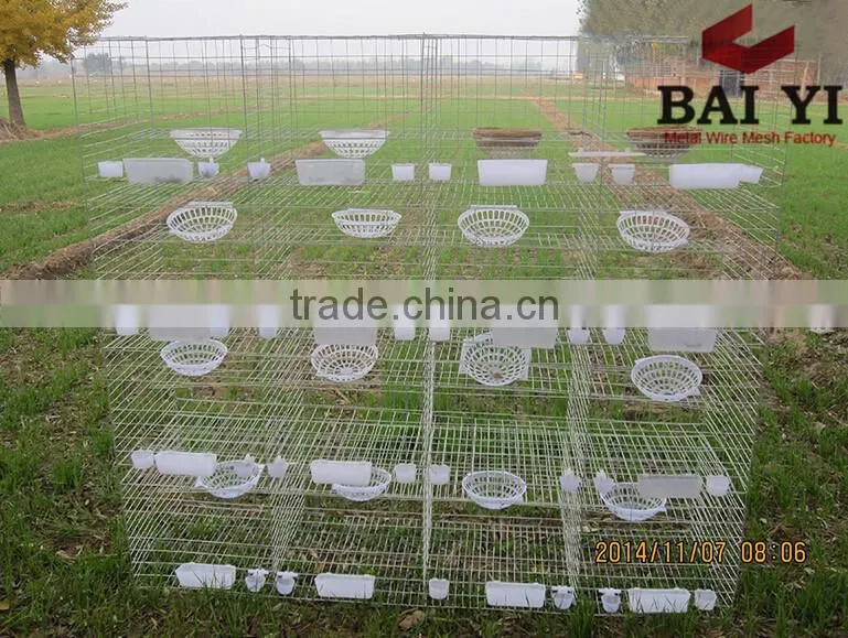 Quail Egg Cage For Quail Egg Production
