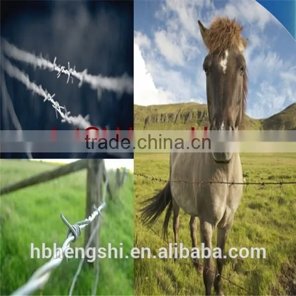 Chain link fence paige wire fence barbed wire