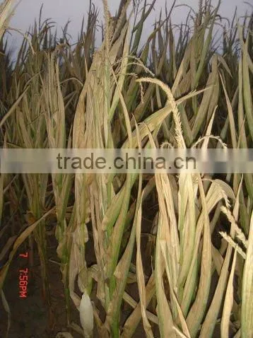 Straw and stalk furel Pellet animal feed machine
