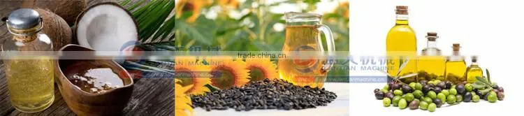 Technology advanced cold oil machine