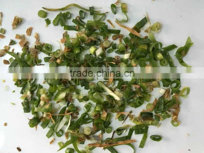Overseas service vegetables color sorter with CCD camera