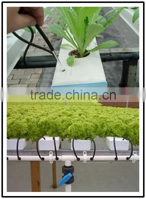 hot sale greenhouse hydroponic culture tray/system for vegetables