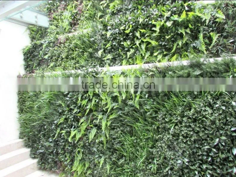 vertical garden green plants wall,green wall backdrop