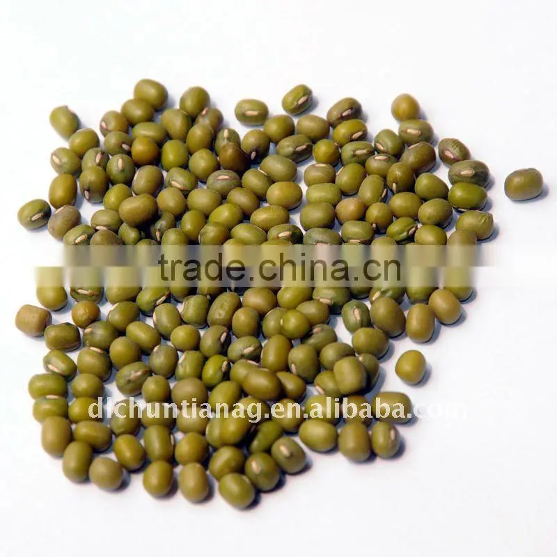 organic yellow mung bean