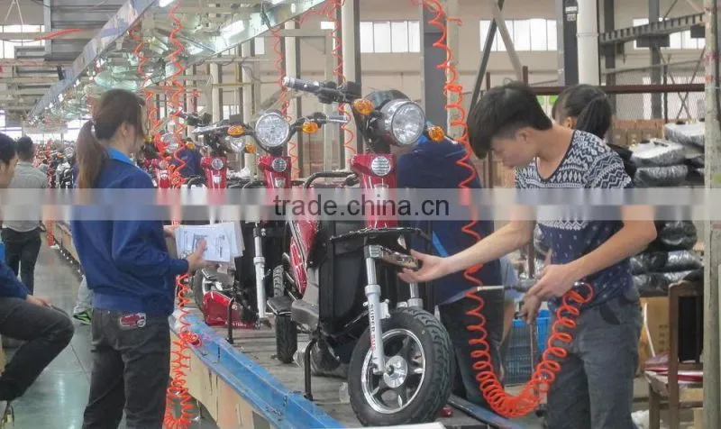 Hign Quality EEC Electric Scooter, Low Bicycle Prices