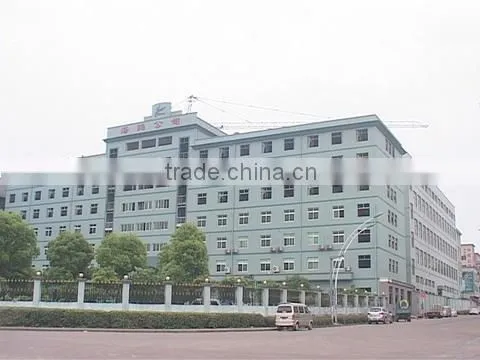 Yongkang Haiou Electric Co., Ltd. company overview - view 1