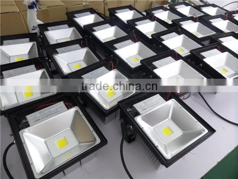 Outdoor Waterproof 50w LED Flood Light with meanwell driver