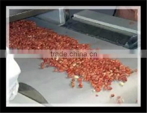 Peanut Butter Making Machine/Peanut Butter Process Line/processing plant