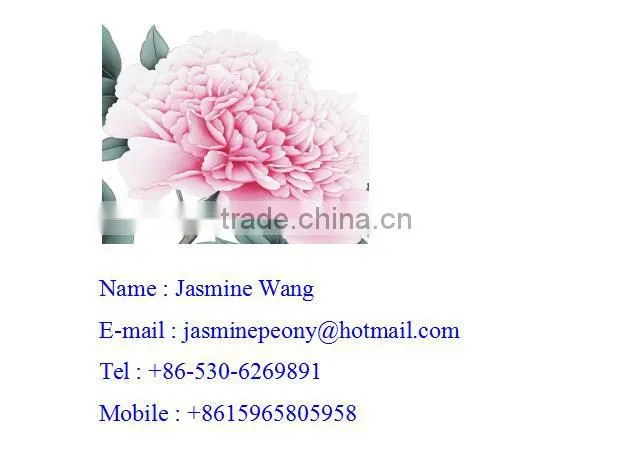 Decorative Wall Hanging Flower Peony Painting