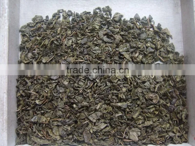 export tea from professional factory in China Gunpowder green Tea 9175