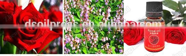 hot sale pure and natural essential oil extracting machinery, essential oil extractor