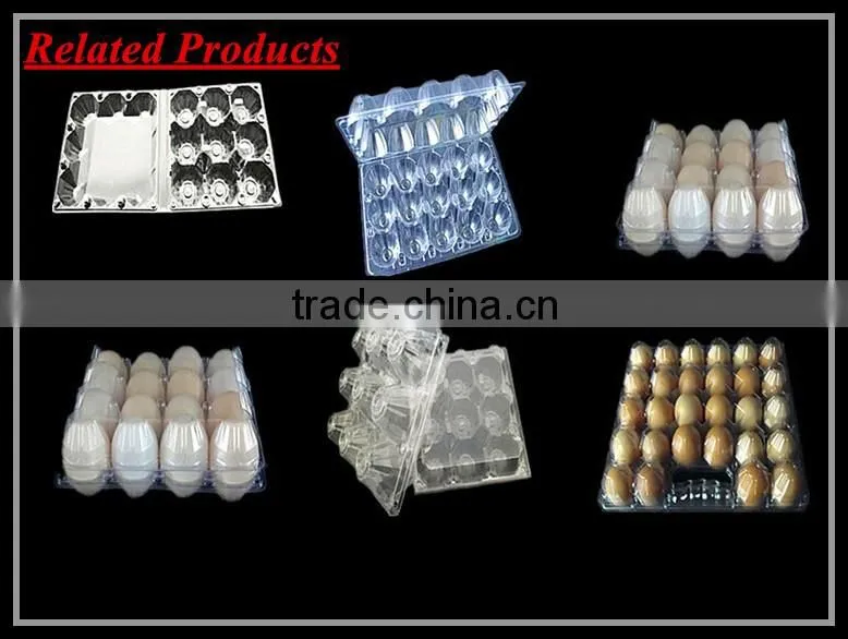 24 Holes rectangular clear transparent plastic quail egg cartons