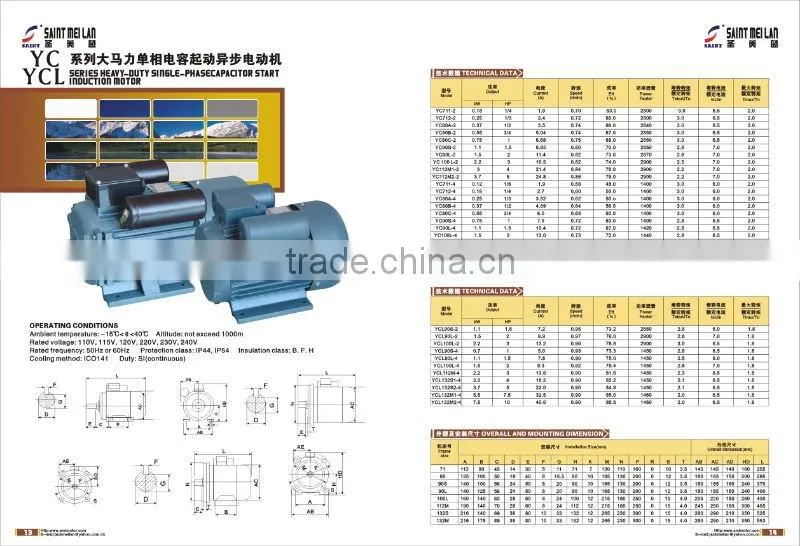 YCL series three-phase induction motor
