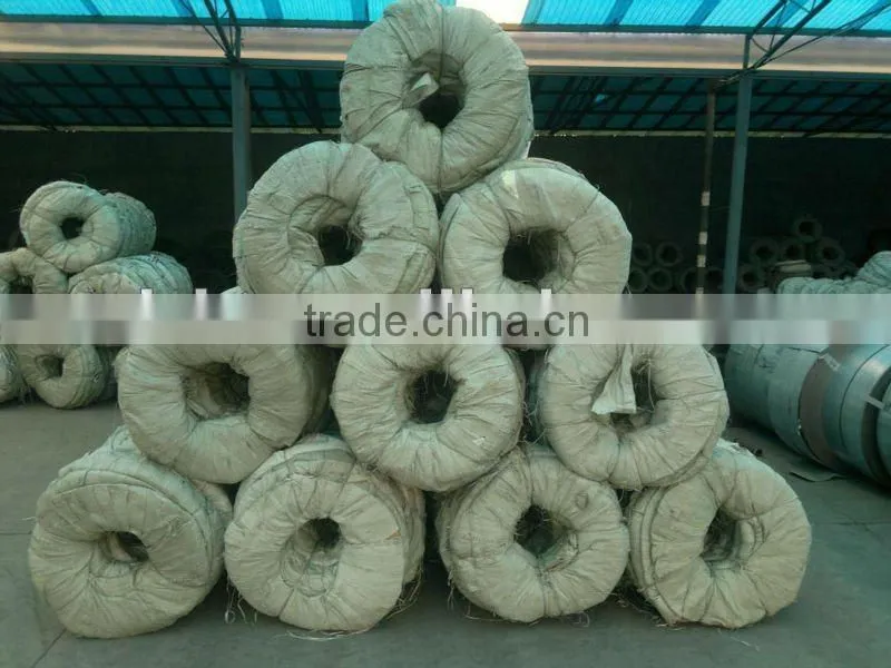 cheat price galvanized razor barbed wire in China