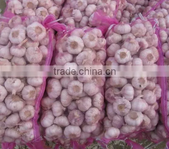 garlic in 20kg bags